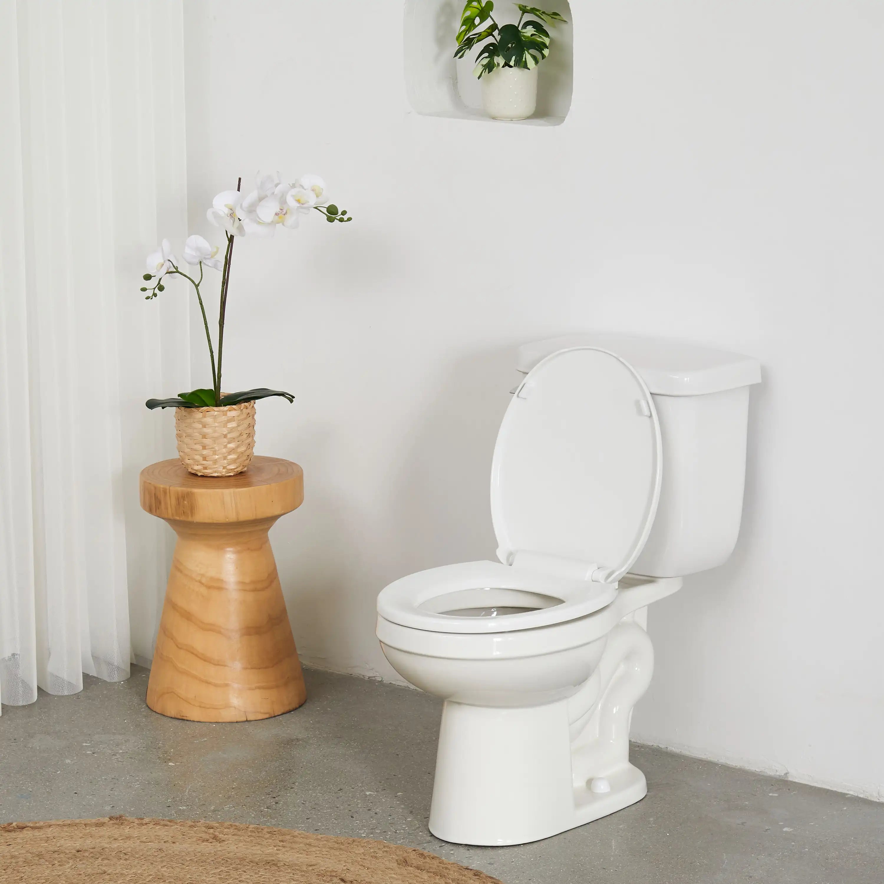 FBJ Round Plastic Toilet Seat Soft Close No Slam, White-I1200S